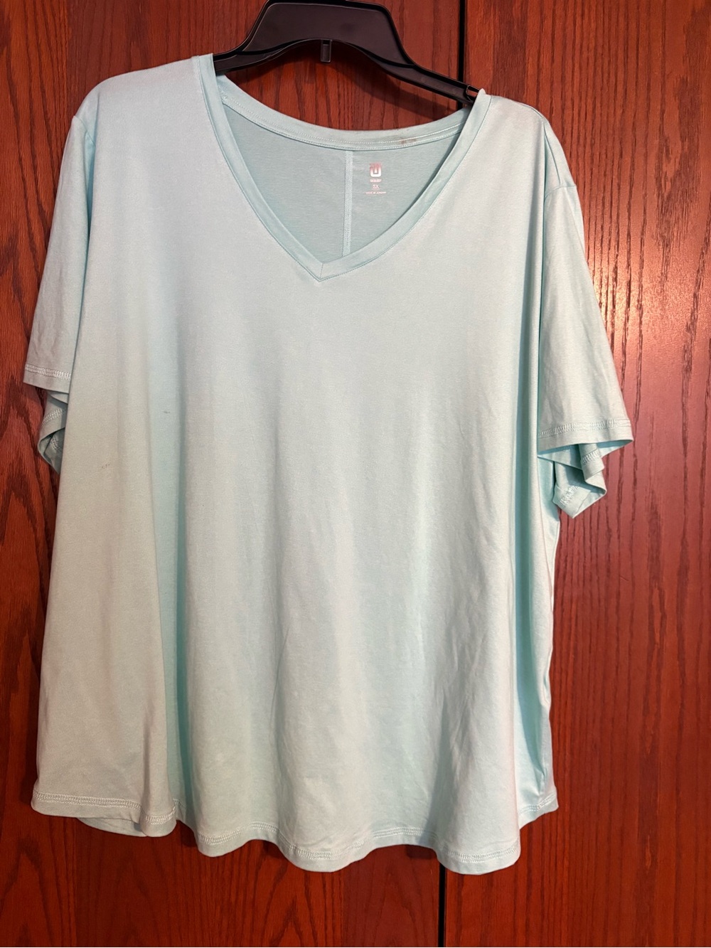 Ideology Light Mint V-Neck Tee - Soft 3X